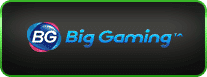 Big Gaming