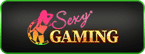 Sexy Gaming